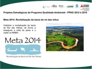 Projetos Estratégicos do Programa Qualidade Ambiental - PPAG 2012 à 2015


Meta 2014: Revitalização da bacia do rio das Velhas

Viabilizar a revitalização da bacia
do Rio das Velhas, de forma a
assegurar a volta do peixe e o
nadar na RMBH.
 