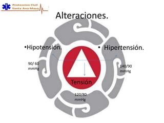 Alteraciones.
• Hipertensión.•Hipotensión.
Tensión
90/ 60
mmHg
140/90
mmHg
120/80
mmHg
 