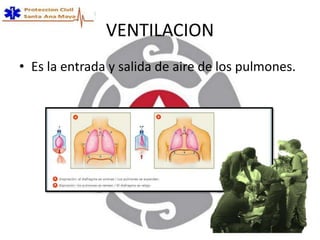 VENTILACION
• Es la entrada y salida de aire de los pulmones.
 