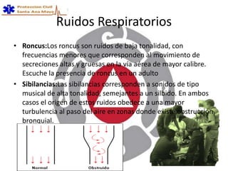 Ruidos Respiratorios
• Roncus:Los roncus son ruidos de baja tonalidad, con
frecuencias menores que corresponden al movimiento de
secreciones altas y gruesas en la vía aérea de mayor calibre.
Escuche la presencia de roncus en un adulto
• Sibilancias:Las sibilancias corresponden a sonidos de tipo
musical de alta tonalidad, semejantes a un silbido. En ambos
casos el origen de estos ruidos obedece a una mayor
turbulencia al paso del aire en zonas donde existe obstrucción
bronquial.
 