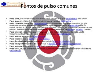 Puntos de pulso comunes
• Pulso radial, situado en el lado de la muñeca más cercano al pulgar (arteria radial).y los brazos
• Pulso ulnar, en el lado de la muñeca más cercano al meñique (arteria ulnar).
• Pulso carotídeo, en el cuello (arteria carótida). La carótida debe palparse suavemente, ya que
estimula sus baroreceptores con una palpación vigorosa puede provocarbradicardia severa o
incluso detener el corazón en algunas personas sensibles. Además, las dos arterias carótidas de una
persona no deben palparse simultáneamente, para evitar el riesgo de síncope o isquemia cerebral.
• Pulso braquial, entre el bíceps y el tríceps, en el lado medial de la cavidad del codo, usado
frecuentemente en lugar del pulso carotídeo en infantes (arteria braquial).
• Pulso femoral, en el muslo (arteria femoral).
• Pulso poplíteo, bajo la rodilla en la fosa poplítea.
• Pulso dorsal del pie o pedio, en el empeine del pie (arteria dorsal del pie).
• Pulso tibial posterior, detrás del tobillo bajo el maléolo medial (arteria tibial posterior).
• Pulso temporal, situado sobre la sien directamente frente a la oreja.
• Pulso facial, situado en el borde inferior de la porción ascendente del maxilar inferior o mandíbula.
(arteria facial)
 