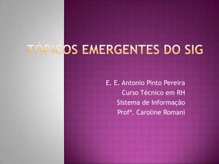 E. E. Antonio Pinto Pereira
      Curso Técnico em RH
    Sistema de Informação
    Profª. Caroline Romani
 