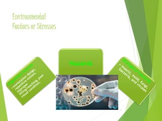 Environmental 
Factors or Stresses 
Hazards 
6 
 