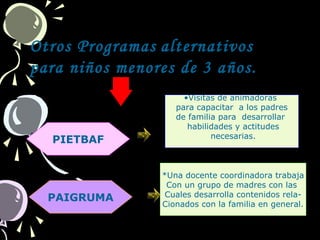 Otros Programas alternativos
para niños menores de 3 años.
PIETBAF
PAIGRUMA
•Visitas de animadoras
para capacitar a los padres
de familia para desarrollar
habilidades y actitudes
necesarias.
*Una docente coordinadora trabaja
Con un grupo de madres con las
Cuales desarrolla contenidos rela-
Cionados con la familia en general.
 