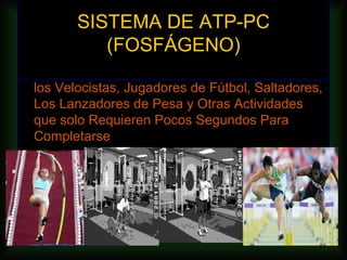 SISTEMA DE ATP-PC
            (FOSFÁGENO)
• Es Utilizado en Salidas Explosivas y Rápidas de
  los Velocistas, Jugadores de Fútbol, Saltadores,
  Los Lanzadores de Pesa y Otras Actividades
  que solo Requieren Pocos Segundos Para
  Completarse
 