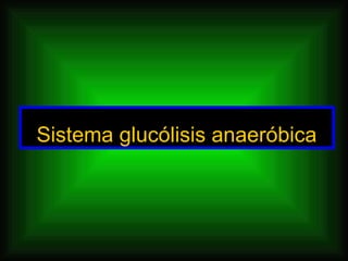 Sistema glucólisis anaeróbica
 