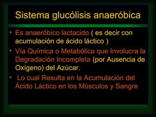 Sistema glucólisis anaeróbica
• Es anaeróbico lactacido ( es decir con
  acumulación de ácido láctico )
• Vía Química o Metabólica que Involucra la
  Degradación Incompleta (por Ausencia de
  Oxígeno) del Azúcar.
• Lo cual Resulta en la Acumulación del
  Ácido Láctico en los Músculos y Sangre
 