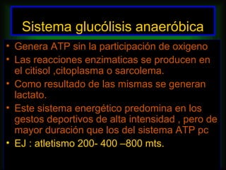 Sistema glucólisis anaeróbica
• Genera ATP sin la participación de oxigeno
• Las reacciones enzimaticas se producen en
  el citisol ,citoplasma o sarcolema.
• Como resultado de las mismas se generan
  lactato.
• Este sistema energético predomina en los
  gestos deportivos de alta intensidad , pero de
  mayor duración que los del sistema ATP pc
• EJ : atletismo 200- 400 –800 mts.
 