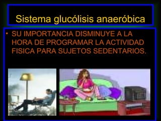 Sistema glucólisis anaeróbica
• SU IMPORTANCIA DISMINUYE A LA
  HORA DE PROGRAMAR LA ACTIVIDAD
  FISICA PARA SUJETOS SEDENTARIOS.
 