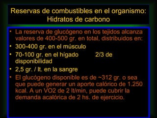 Reservas de combustibles en el organismo:
          Hidratos de carbono
• La reserva de glucógeno en los tejidos alcanza
  valores de 400-500 gr. en total, distribuidos en:
• 300-400 gr. en el músculo
• 70-100 gr. en el hígado       2/3 de
  disponibilidad
• 2,5 gr. / lt. en la sangre
• El glucógeno disponible es de ~312 gr. o sea
  que puede generar un aporte calórico de 1.250
  kcal. A un VO2 de 2 lt/min, puede cubrir la
  demanda acalórica de 2 hs. de ejercicio.
 