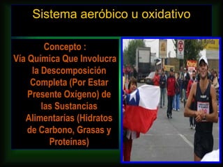 Sistema aeróbico u oxidativo

         Concepto :
Vía Química Que Involucra
     la Descomposición
     Completa (Por Estar
    Presente Oxígeno) de
        las Sustancias
   Alimentarías (Hidratos
    de Carbono, Grasas y
          Proteínas)
 
