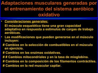 Adaptaciones musculares generadas por
 el entrenamiento del sistema aeróbico
               oxidativo
• Consideraciones generales:
  El músculo esquelético tiene una gran capacidad
  adaptativa en respuesta a estímulos de cargas de trabajo
  aeróbicas.
• Las modificaciones que pueden generarse en el músculo
  incluyen:
 # Cambios en la selección de combustibles en el músculo
  en ejercicio.
 # Cambios en las enzimas oxidativas.
 # # Cambios mitocondriales y en la tasa de mioglobina.
 # Cambios en la composición de los filamentos contráctiles.
 # Cambios en la red muscular capilar.
 