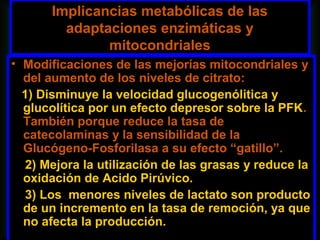 Implicancias metabólicas de las
         adaptaciones enzimáticas y
               mitocondriales
• Modificaciones de las mejorías mitocondriales y
  del aumento de los niveles de citrato:
  1) Disminuye la velocidad glucogenólitica y
  glucolítica por un efecto depresor sobre la PFK.
  También porque reduce la tasa de
  catecolaminas y la sensibilidad de la
  Glucógeno-Fosforilasa a su efecto “gatillo”.
   2) Mejora la utilización de las grasas y reduce la
  oxidación de Acido Pirúvico.
   3) Los menores niveles de lactato son producto
  de un incremento en la tasa de remoción, ya que
  no afecta la producción.
 