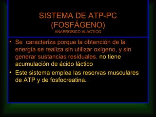 SISTEMA DE ATP-PC
             (FOSFÁGENO)
                ANAEROBICO ALACTICO

• Se caracteriza porque la obtención de la
  energía se realiza sin utilizar oxígeno, y sin
  generar sustancias residuales. no tiene
  acumulación de ácido láctico
• Este sistema emplea las reservas musculares
  de ATP y de fosfocreatina.
 