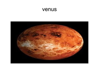 venus
 