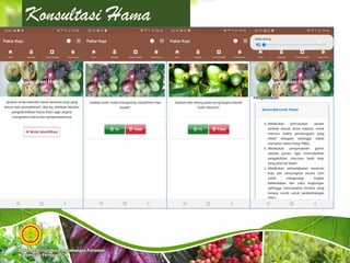 Konsultasi Hama
 