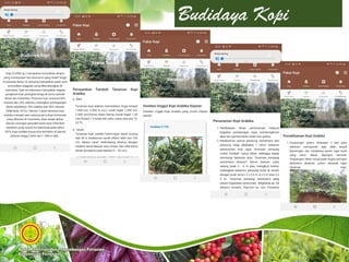 Budidaya Kopi
 