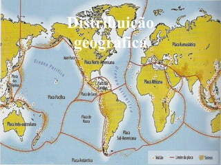 Distribuição
geográfica
 