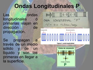 Ondas Longitudinales P
Las ondas
longitudinales ó
primarias viajan en
dirección de
propagación.
Se propagan a
través de un medio
sólido y de un
líquido y son las
primeras en llegar a
la superficie.
 