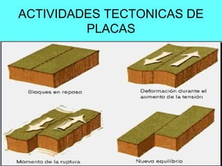 ACTIVIDADES TECTONICAS DE
PLACAS