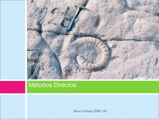 Métodos Directos Nuno Correia 2008 / 09 