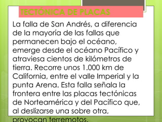 La falla de San Andrés, a diferencia
de la mayoría de las fallas que
permanecen bajo el océano,
emerge desde el océano Pacífico y
atraviesa cientos de kilómetros de
tierra. Recorre unos 1.000 km de
California, entre el valle Imperial y la
punta Arena. Esta falla señala la
frontera entre las placas tectónicas
de Norteamérica y del Pacífico que,
al deslizarse una sobre otra,
TECTÓNICA DE PLACAS
 