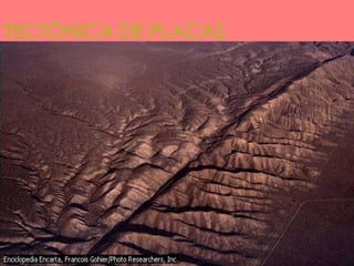 TECTÓNICA DE PLACAS
 