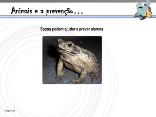 Animais e a prevenção…
             Sapos podem ajudar a prever sismos




Page  24
 