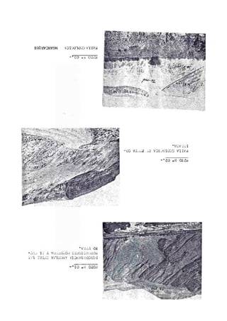 intW3MVÍlK VDIlXTlOiD 7TIVÀ
- * €0 *.'i OiOi
•veVUOI
-OD Vi. a-i ,;2 VDIa'OiOaD VTIVd
- ’ 20 QIC2
*V'dtìA. Cd
“à'aj la A Sa.lGI0V¿¿HOa
SVI a'd iG HVIÜONY VIDUVGilODSIÜ
IO ».i CiOa
 