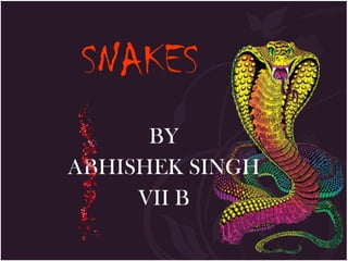 SNAKES BY ABHISHEK SINGH VII B 