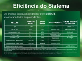 Eficiência do Sistema 