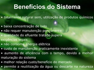 •  totalmente natural sem, utilização de produtos químicos  •  baixa concentração de lodo •  não requer manutenção permanente •  qualidade do efluente tratado supera  exigências legais •  não consome energia elétrica •  custo de manutenção praticamente inexistente •  aumento de eficiência com o tempo, devido a melhor maturação do sistema •  melhor relação custo/benefício do mercado •  permite a reutilização da água ou descarte na natureza (classe 2) Benefícios do Sistema 