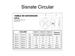 Sisnate Circular 