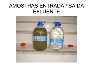 AMOSTRAS ENTRADA / SAIDA EFLUENTE 