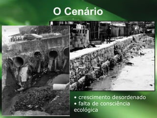 O Cen ário •  crescimento desordenado •  falta de consciência ecológica 