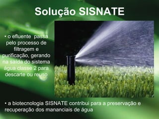 •  a biotecnologia SISNATE contribui para a preservação e recuperação dos mananciais de água Solução SISNATE •  o efluente  passa pelo processo de filtragem e purificação, gerando na saída do sistema água classe 2 para descarte ou reuso 