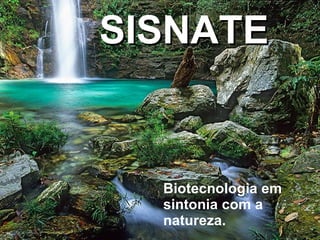 SISNATE Biotecnologia em sintonia com a natureza. 