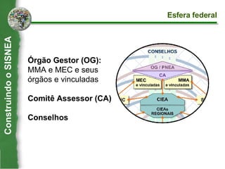 Órgão Gestor (OG)‏: MMA e MEC e seus órgãos e vinculadas Comitê Assessor (CA)‏ Conselhos  Construindo o SISNEA Esfera federal 