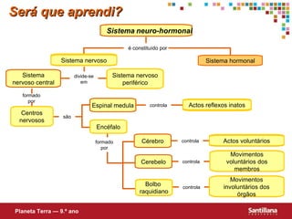 Será que aprendi? Sistema   neuro-hormonal Sistema hormonal Sistema nervoso central Espinal medula Cérebro Cerebelo Actos reflexos inatos Centros nervosos Bolbo  raquidiano Actos voluntários Movimentos voluntários dos membros Movimentos involuntários dos órgãos Sistema nervoso periférico Encéfalo Sistema nervoso Planeta Terra — 9.º ano é constituído por formado por são controla controla controla controla divide-se em formado por 
