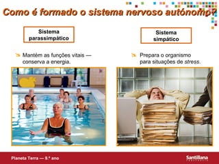 Sistema simpático Sistema parassimpático Como é formado o sistema nervoso autónomo? Planeta Terra — 9.º ano Prepara o organismo   para situações de  stress .  Mantém as funções vitais — conserva a energia.  