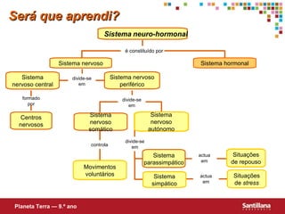 Sistema   neuro-hormonal Sistema hormonal Sistema nervoso central Sistema nervoso Será que aprendi? Centros nervosos Sistema nervoso periférico Sistema nervoso somático Sistema parassimpático Movimentos voluntários Sistema nervoso autónomo Situações de repouso Situações de  stress Sistema simpático Planeta Terra — 9.º ano é constituído por divide-se em formado por controla divide-se em actua em actua em divide-se em 