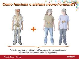 Os sistemas nervoso e hormonal funcionam de forma articulada,  controlando as funções vitais do organismo. + Como funciona o sistema neuro-hormonal? Planeta Terra — 9.º ano 