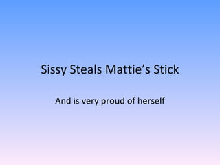 Sissy Steals Mattie’s Stick And is very proud of herself 