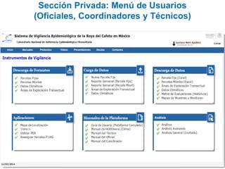 Sección Privada: Menú de Usuarios
(Oficiales, Coordinadores y Técnicos)
 