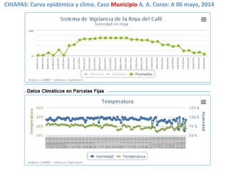 CHIAPAS: Curva epidémica y clima. Caso Municipio A. A. Corzo: A 06 mayo, 2014
 