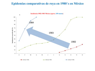 Epidemias comparativas de roya en 1980´s en México
0
10
20
30
40
50
60
70
80
90
100
E F M A M J J A S O N D
Incidenciaderoyadelcafé(%)
Incidencia 1982-1983 México (aprox. 650 msnm)
CICLO 1982 CICLO 1983 CICLO 1984
A
1982
1983
1984
 