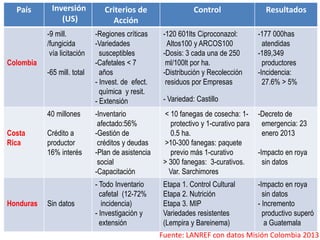 País Inversión
(US)
Criterios de
Acción
Control Resultados
Colombia
-9 mill.
/fungicida
vía licitación
-65 mill. total
-Regiones críticas
-Variedades
susceptibles
-Cafetales < 7
años
- Invest. de efect.
química y resit.
- Extensión
-120 601lts Ciproconazol:
Altos100 y ARCOS100
-Dosis: 3 cada una de 250
ml/100lt por ha.
-Distribución y Recolección
residuos por Empresas
- Variedad: Castillo
-177 000has
atendidas
-189,349
productores
-Incidencia:
27.6% > 5%
Costa
Rica
40 millones
Crédito a
productor
16% interés
-Inventario
afectado:56%
-Gestión de
créditos y deudas
-Plan de asistencia
social
-Capacitación
< 10 fanegas de cosecha: 1-
protectivo y 1-curativo para
0.5 ha.
>10-300 fanegas: paquete
previo más 1-curativo
> 300 fanegas: 3-curativos.
Var. Sarchimores
-Decreto de
emergencia: 23
enero 2013
-Impacto en roya
sin datos
Honduras Sin datos
- Todo Inventario
cafetal (12-72%
incidencia)
- Investigación y
extensión
Etapa 1. Control Cultural
Etapa 2. Nutrición
Etapa 3. MIP
Variedades resistentes
(Lempira y Bareinema)
-Impacto en roya
sin datos
- Incremento
productivo superó
a Guatemala
Fuente: LANREF con datos Misión Colombia 2013
 