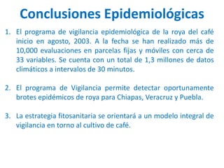Conclusiones Epidemiológicas
1. El programa de vigilancia epidemiológica de la roya del café
inicio en agosto, 2003. A la fecha se han realizado más de
10,000 evaluaciones en parcelas fijas y móviles con cerca de
33 variables. Se cuenta con un total de 1,3 millones de datos
climáticos a intervalos de 30 minutos.
2. El programa de Vigilancia permite detectar oportunamente
brotes epidémicos de roya para Chiapas, Veracruz y Puebla.
3. La estrategia fitosanitaria se orientará a un modelo integral de
vigilancia en torno al cultivo de café.
 