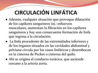 CIRCULACIÓN LINFÁTICA
●
●
●
 