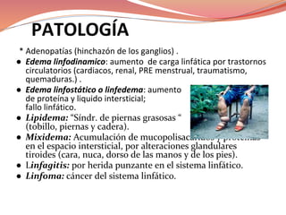 PATOLOGÍA
* Adenopatías (hinchazón de los ganglios) .
● Edema linfodinamico: aumento de carga linfática por trastornos
circulatorios (cardiacos, renal, PRE menstrual, traumatismo,
quemaduras.) .
● Edema linfostático o linfedema: aumento
de proteína y liquido intersticial;
fallo linfático
●
●
●
●
 